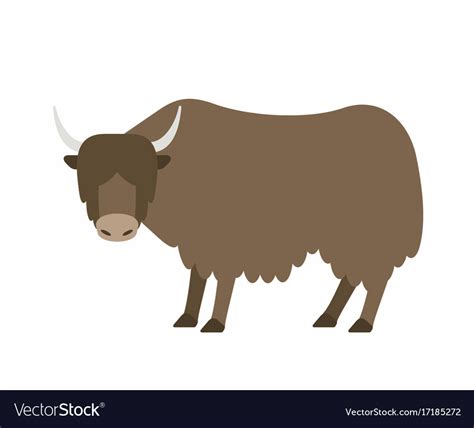 Buffalo Royalty Free Vector Image - VectorStock