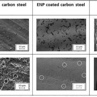 Scanning Electron Micrographs Sem Of Uncoated Carbon Steel Samples