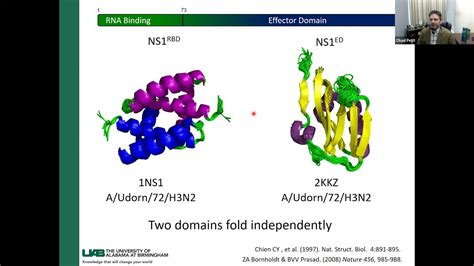 Structural Insight Into Modulation Of Influenza Nonstructural Protein