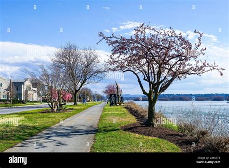 Susquehanna river trail hi-res stock photography and images - Alamy