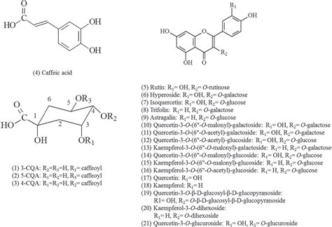 Figure 1 From Simultaneous Qualitative And Quantitative Analysis Of