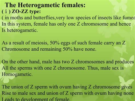 Sex Determination Chromosomal Theory Of Sex Determination Ppt