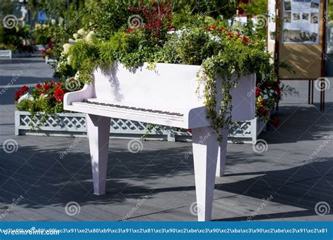 Landscape Design Of The Park With Flowers And Piano Stock Photo Image