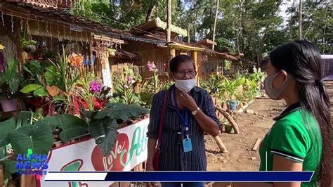 Mga Kubo Sa Paligid Ng Municipal Hall Ng Bayan Ng Aborlan Palawan