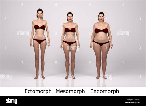 Endo Mesomorph Women