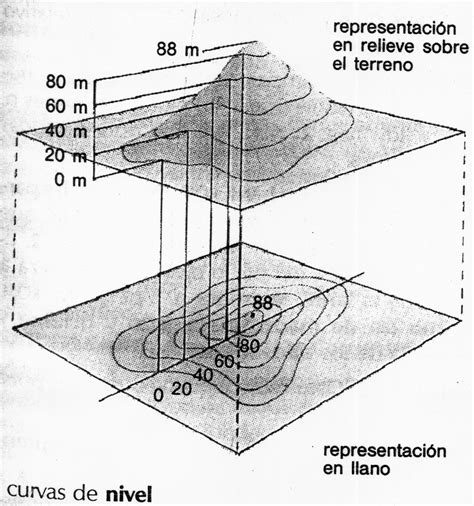 Curvas De Nivel Imagen