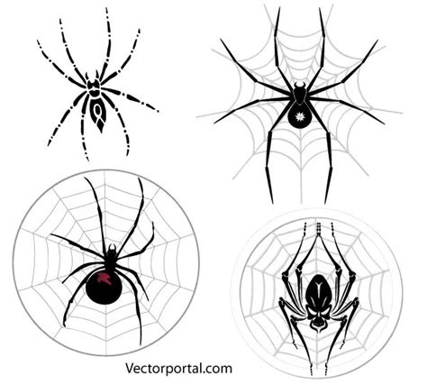 Spider web vector art