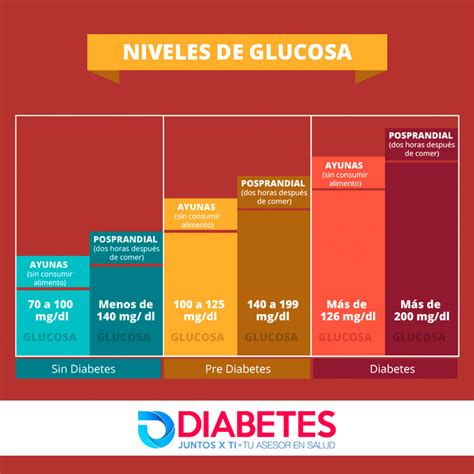 Cu Les Son Los Niveles Normales De Glucosa En La Sangre