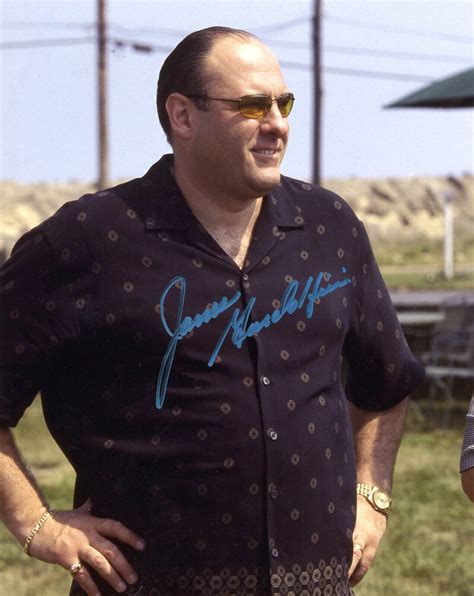 James Gandolfini Tony Soprano Autographed Glossy 8x10 Photograph Steiner Ebay