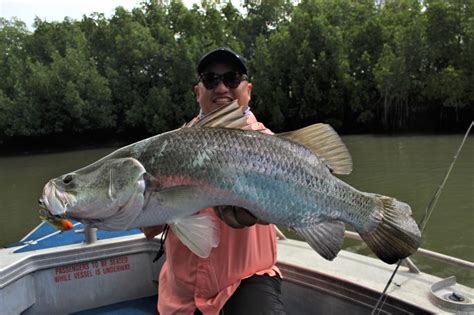 Melville Island Fishing Lodge | Fishing Earth