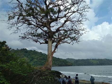 Explorando La Ecología Acuática Del Río Mbouanatsa