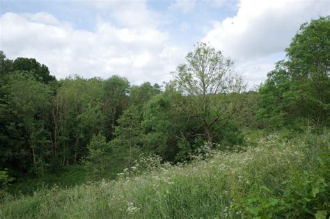 Pitty Beck Wetlands Allerton Bradford Habiloid Cc By Sa