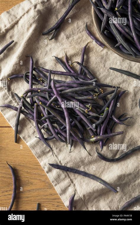 Raw Purple Organic String Beans Ready To Cook Stock Photo Alamy