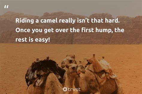 12 Camel Quotes About The Desert Companions