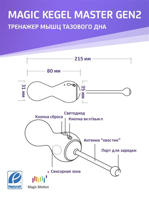 Magic Kegel Master Gen2. Мэджик Кегель Мастер Ген2 - Pentcroft