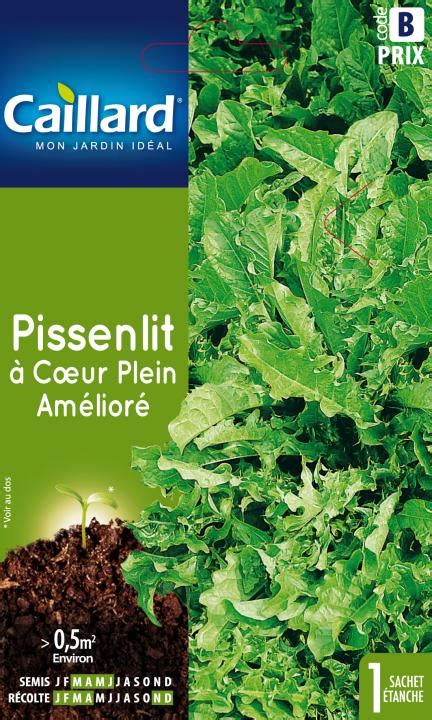 Pissenlit A Coeur Plein Ameliore Graines Caillard