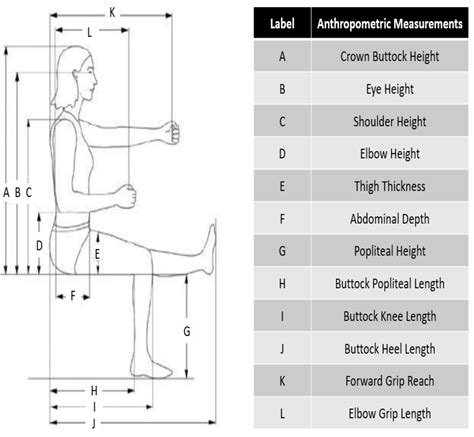 Human anthropometry measurements for sitting position [6] | Download ...