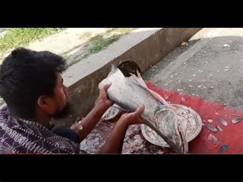 Big Ayer Fish Cutting Skills Live In Fish Market In Bangladesh Fish