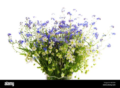 spring wild flowers bouquet stock photo alamy