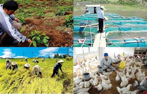 Giá trị sản xuất ngành nông nghiệp Value of Agricultural Production