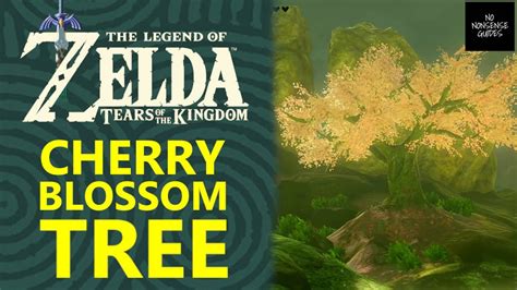 Cherry Blossom Tree Locations In Zelda Tears Of Kingdom Where To Find