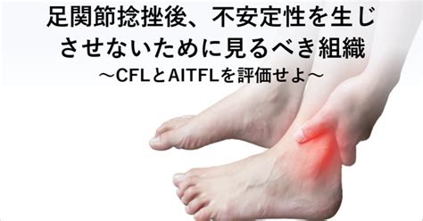 足関節捻挫後、不安定性を生じさせないため ～CFLとAITFLを評価せよ～ - THERAWIEW