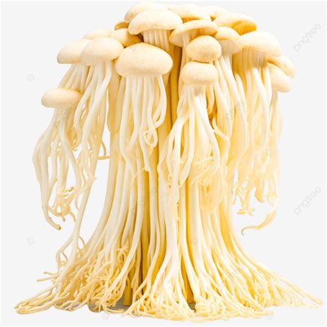 A Bunch Of White Enoki Seafood Mushrooms Grown In China A Bunch Of