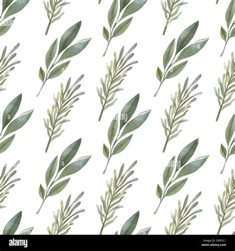 Sage green pattern hi-res stock photography and images - Alamy