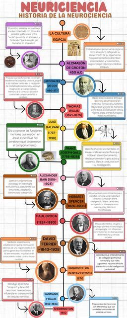 Línea De Tiempo De La Historia De La Neurociencia Jeni Pachas Udocz