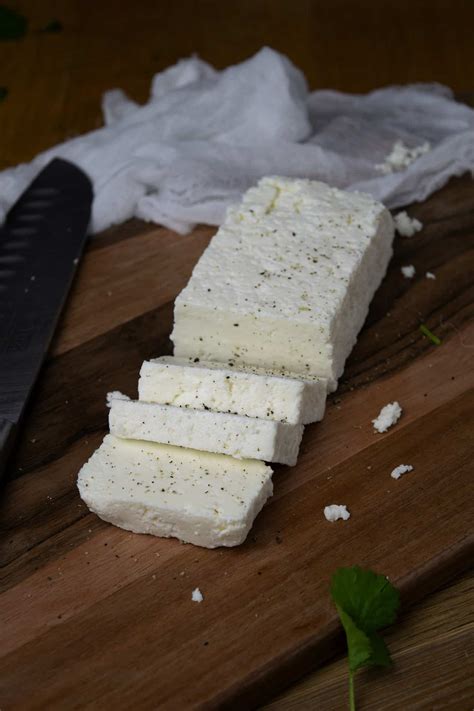 Taleggio Käse einfrieren richtig auftauen so geht s richtig