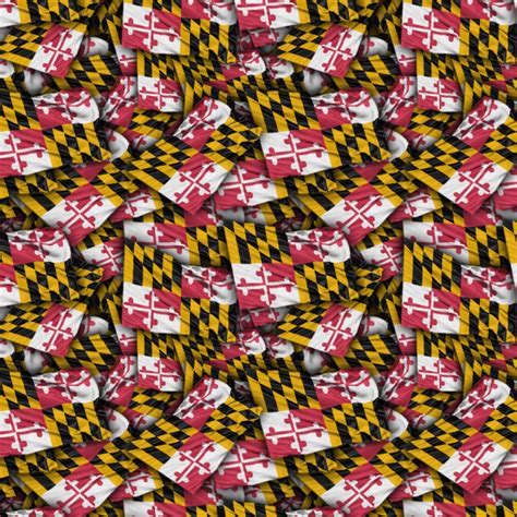 Maryland State Flag Pattern