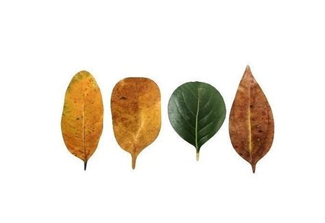 Autumn leaf model Download 3D leaf model Autumn yellow leaf 3D model 3D ...