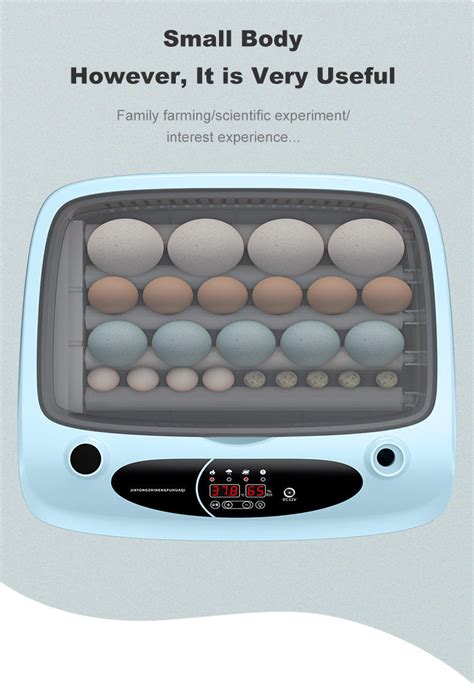 Pcs Incubateur Incubateur Egg Incubator Egg Incubator