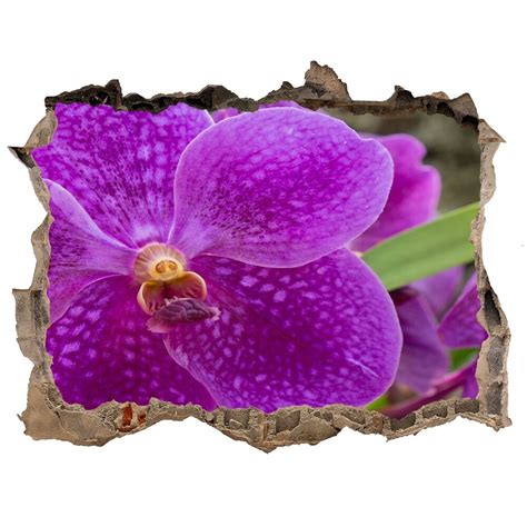 Orchidea D S Lyukat Fali Matrica Wallmuralia Hu