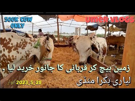 Zamen Bech Kr Qurabni Ka Janwar La Liya Liyari Bakra Mandi Latest