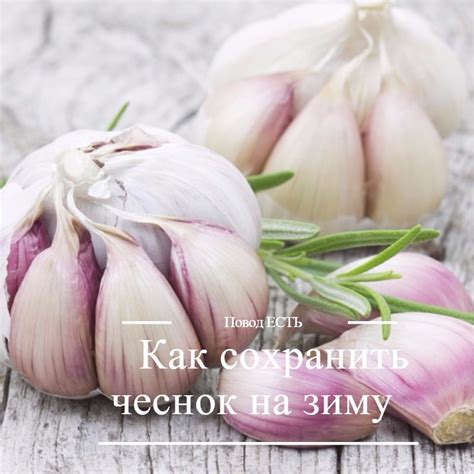 Полезности: Как сохранить чеснок на зиму — Вкусно!