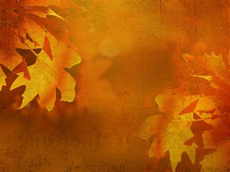 Fall Fest Wallpapers - Wallpaper Cave