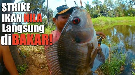 Mancing Harian Ikan Mas