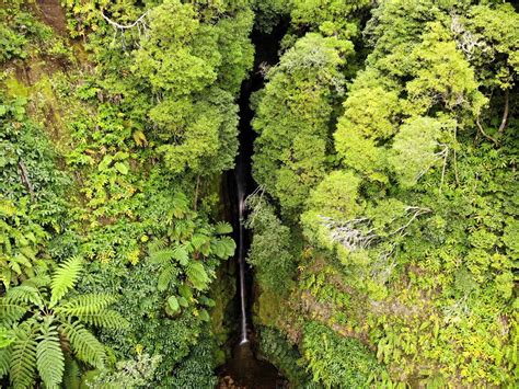 Wat zien doen in Furnas op São Miguel verblijftips