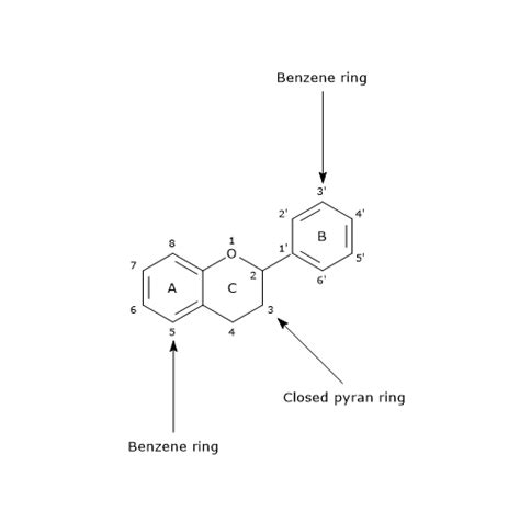 Chemical Structure Of Flavonoids