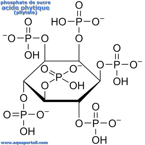 Phosphate De Sucre Définition Et Explications