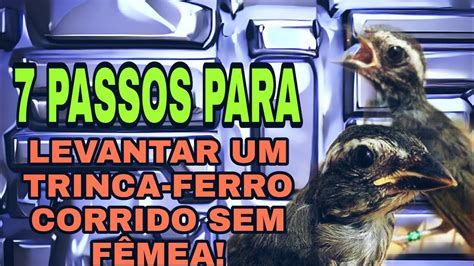 Passos Para Levantar Trinca Ferro Corrido De M O Sem F Mea Youtube