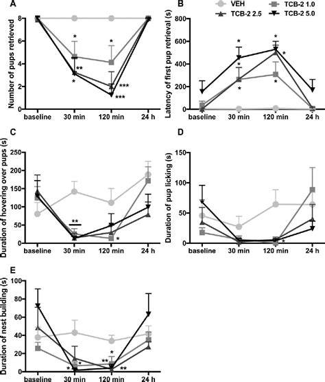 Figure 3 From Activation Of 5 Ht 2a Receptor Disrupts Rat Maternal