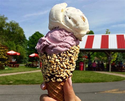 Upstate New Yorks Best Ice Cream Stand Get To Know The Semifinalists