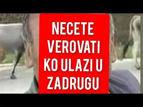 Necete Verovati Ko Ulazi U Zadrugu Upravo Javljeno Youtube