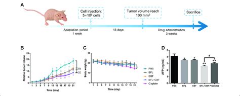 Tumor Growth Inhibition In Hepg Bearing Nude Mice After Treatment