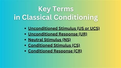 The 5 Key Terms in Classical Conditioning - Fuskal