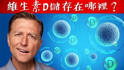 什麼人要補充d3？d儲存在這些細胞中 自然療法 柏格醫生 Dr Berg Youtube