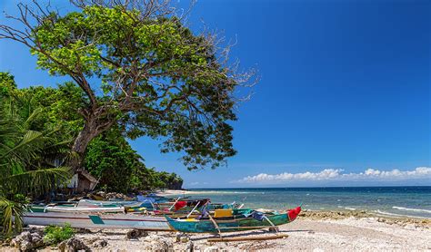 Tropical Island Panorama Paradise Photograph By James Bo Insogna