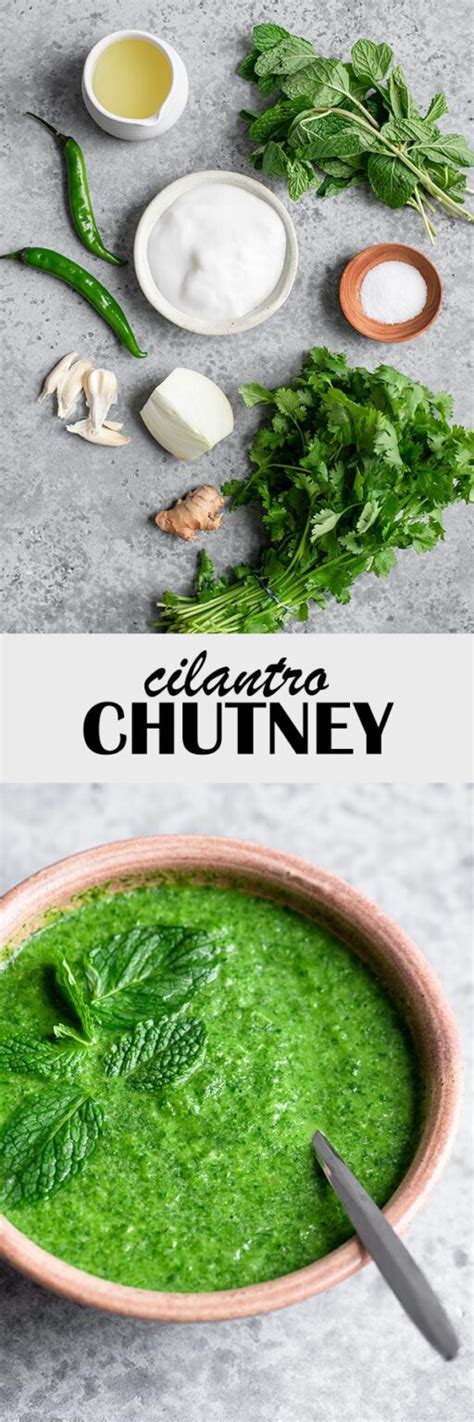 Homemade Cilantro Chutney • The Curious Chickpea